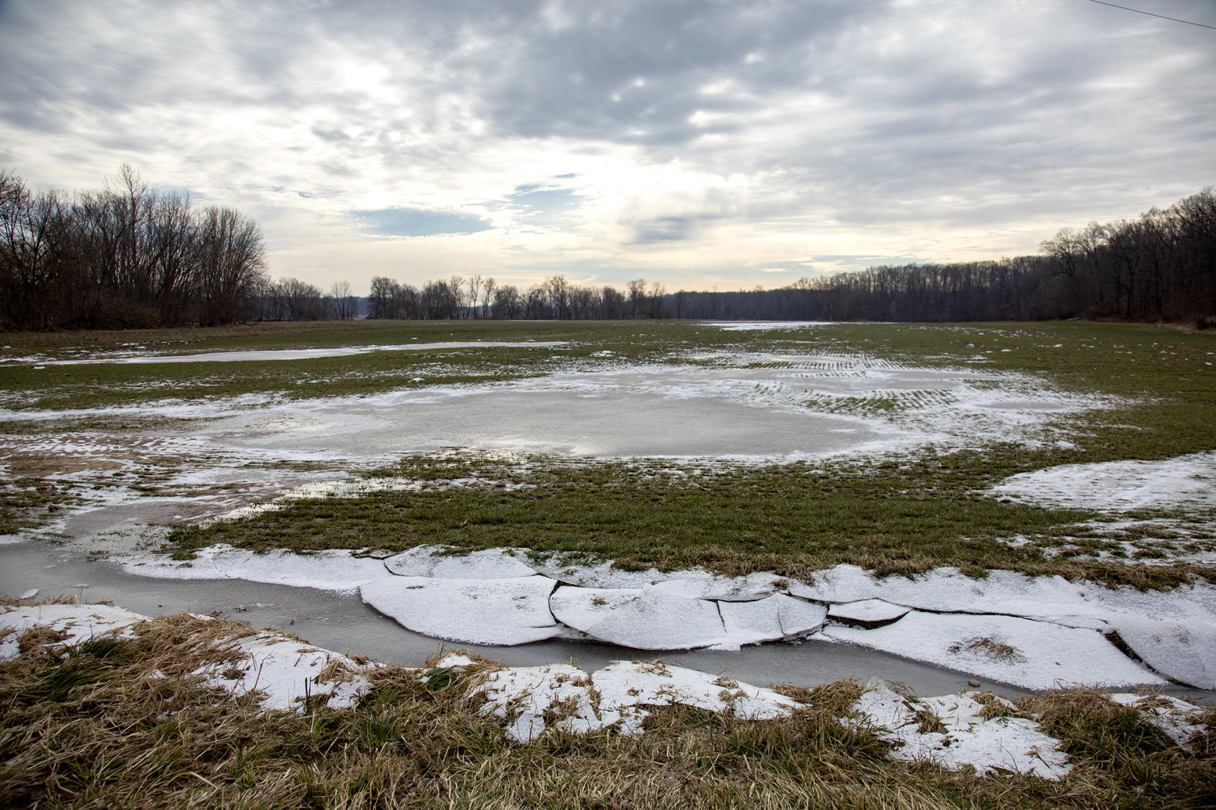 ENTRENCHED PONDS